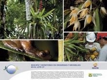 repsol-rescate-y-recolocacion-de-orquideas